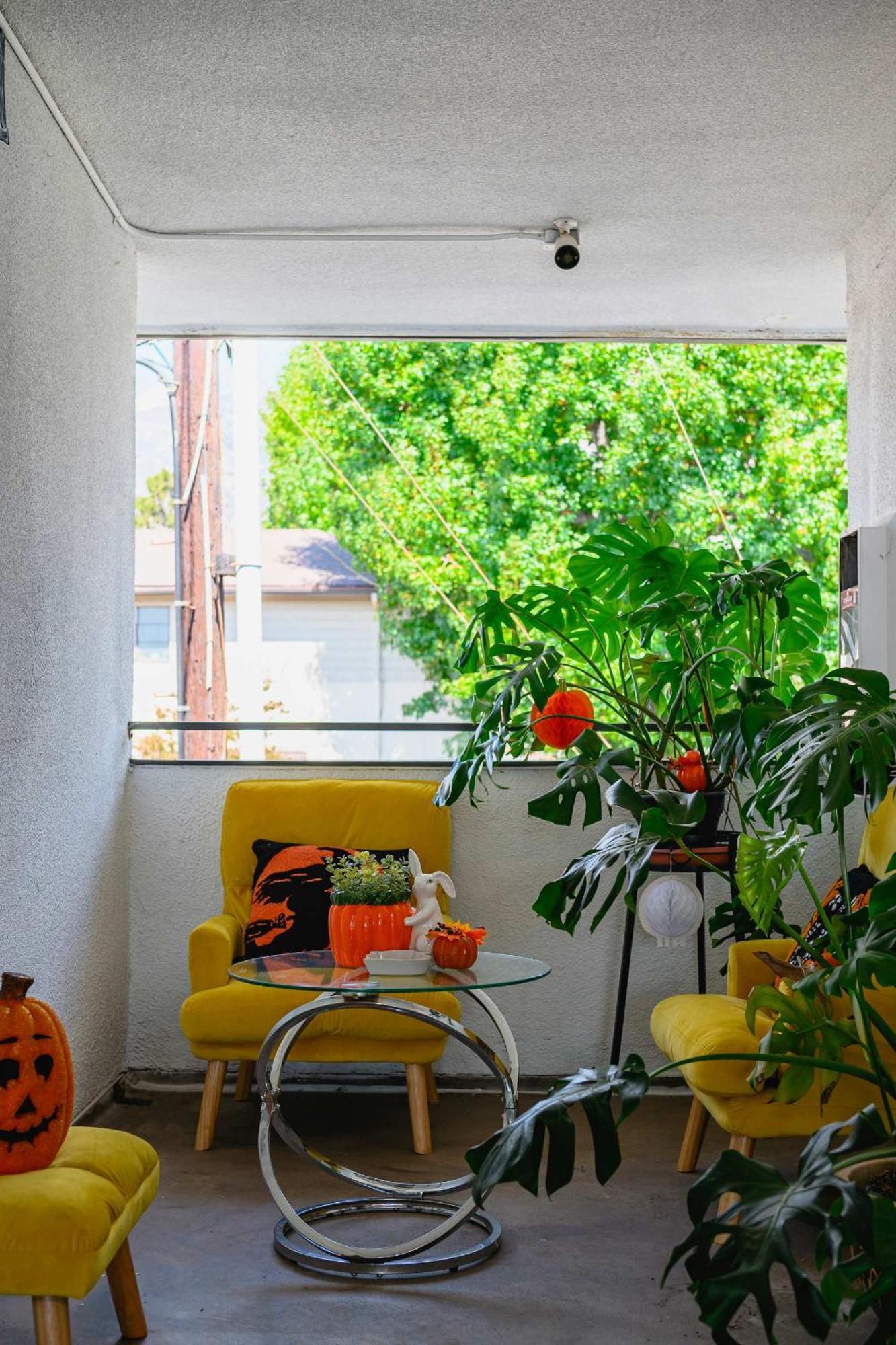New Renovated 2B2B Apt Self Checkin Free Parking 1 パサディナ エクステリア 写真